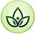 Homeopathy