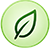 Ayurvedic Medicine